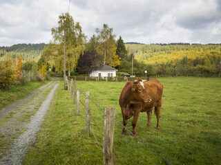 Eingebettet in Wiesen und Wälder