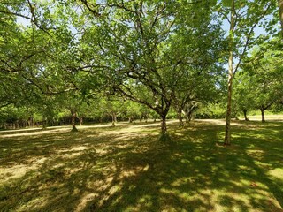 Cottage Saint-Georges-de-Montclard Outdoor Recording 2