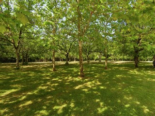 Casa de campo Saint-Georges-de-Montclard Entorno 34