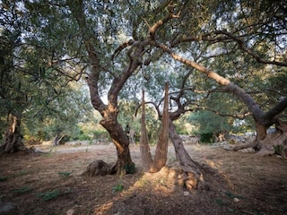 Cottage Saint-Georges-de-Montclard Environment 36