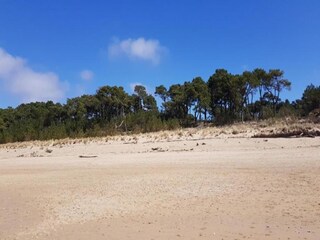 Type de propriété : Chalet Saint-Georges-de-Montclard Environnement 33