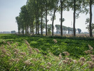 Maison de vacances Groede Environnement 22