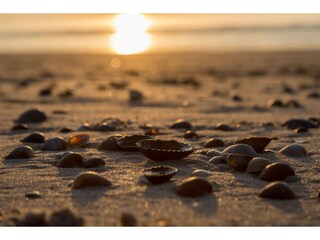 Ferienhaus Koudekerke Umgebung 31