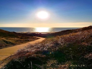 Vakantiehuis Koudekerke Omgeving 38