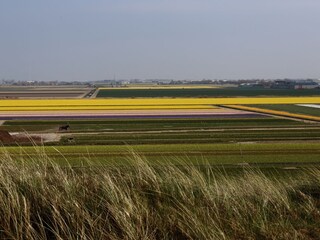 Casa per le vacanze Julianadorp Ambiente 25