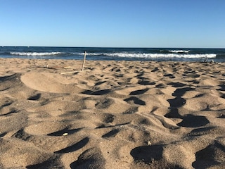 Parc de vacances Valras-Plage Environnement 19