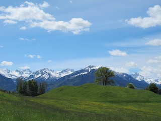 am Wanderweg in Schöllang