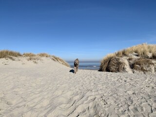 Casa per le vacanze Buren Ambiente 32