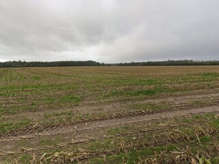 Ferienhaus Hovborg  18