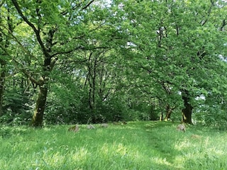 Ferienhaus Hovborg  9