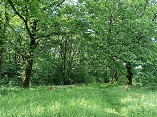 Holiday house Hovborg  5