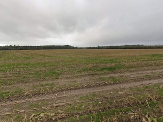 Ferienhaus Hovborg  12