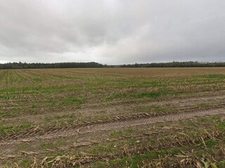 Vakantiehuis Hovborg  9