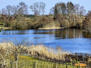 Ferienhaus Østby  37