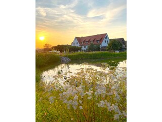 Montfort-Schloessle-Lindau-Naturteich