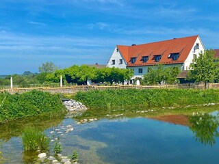 Montfort-Schloessle-Lindau-Naturteich