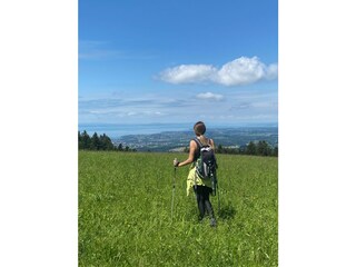 Montfort-Schloessle -See und Berge vor der Haustüre