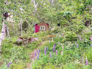 Vakantiehuis Norrtälje Buitenaudio-opname 4