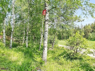 Ferienhaus Norrtälje Außenaufnahme 5