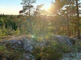 Vakantiehuis Norrtälje  28
