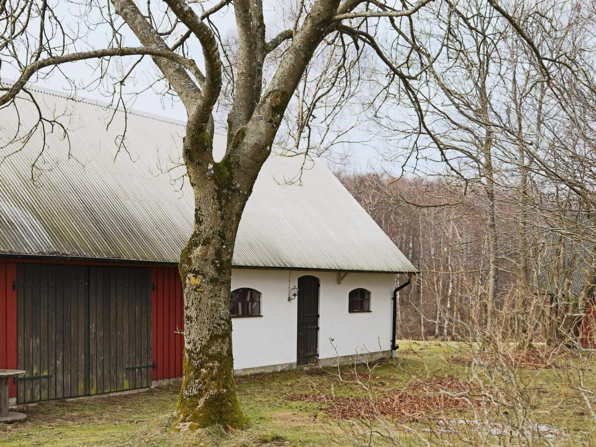 Ferienhaus Vejbystrand Außenaufnahme 3