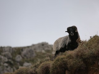 Maison de vacances Plakias Environnement 24