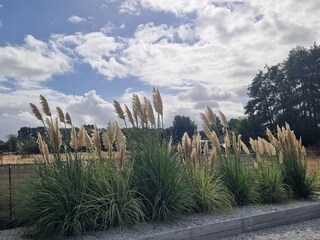 Chalet Westerland (Wieringen) Registrazione all'aperto 4