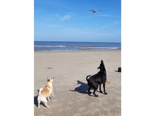 Chalet Westerland (Wieringen) Ambiente 29