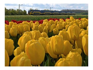 Chalet Westerland (Wieringen) Ambiente 34