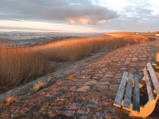 Chalet Westerland (Wieringen) Ambiente 37