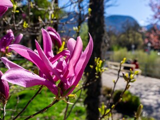 Appartamento per vacanze Jenesien Ambiente 33