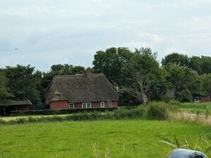 Ferienhaus Lottis Huus - Friesenhuus in beinahe Alleinlage - Ockholm - image1