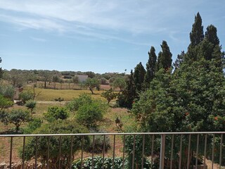 Tenuta Campos Ambiente 21