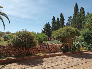 Tenuta Campos Ambiente 23