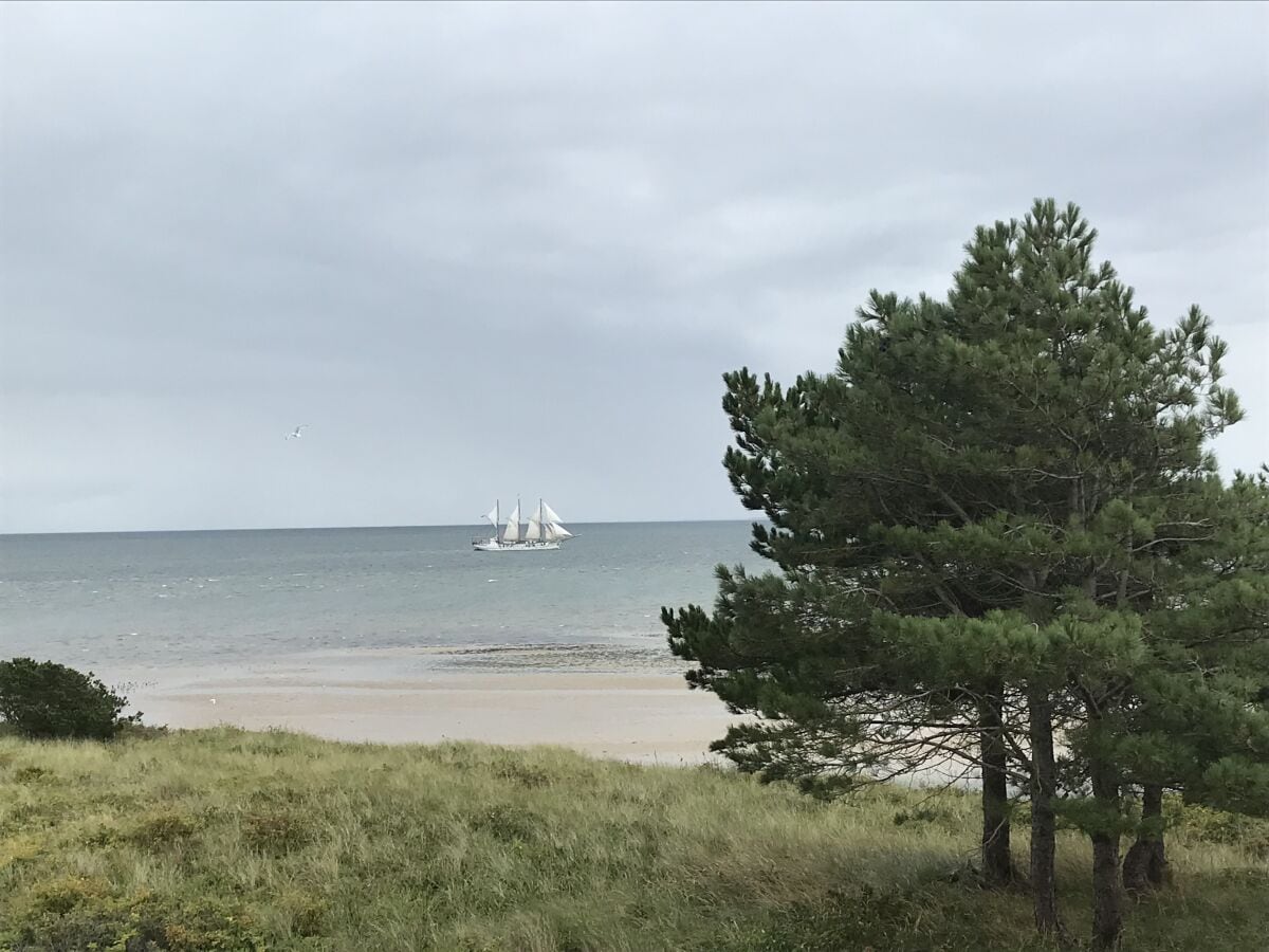 Strandliebe Amrum