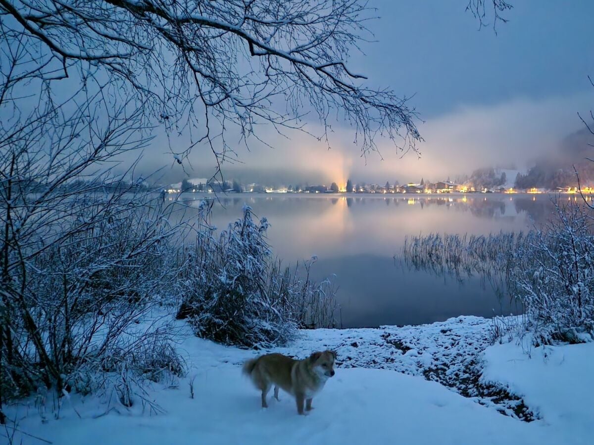 Walchsee