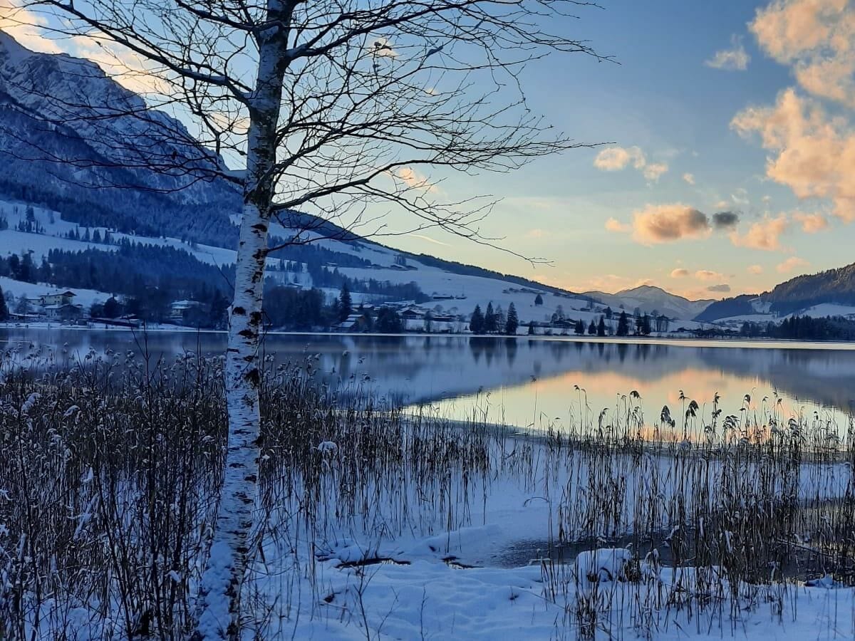 Walchsee Südufer