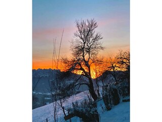 Screenshot_20221219-212115_WhatsApp