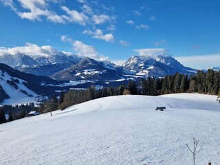 20241123_100508 (002)