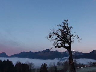 Im Tal der Nebel - Ausblick vom Balkon