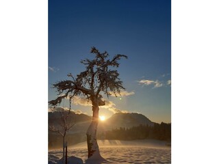 Späte Sonnenstrahlen