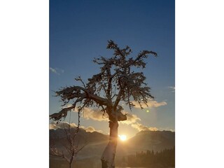 Screenshot_20221207-043244_Photos