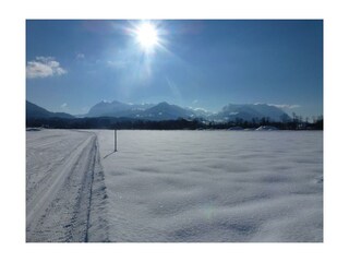 Ferienwohnung Sonnenwiese, Loipe mit Kaiser