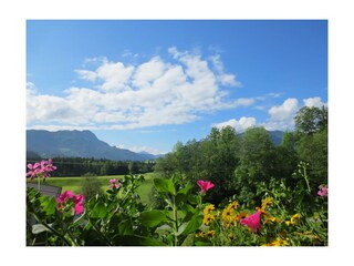 Sicht bis zum Kitzbüheler Horn