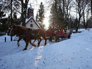 7146_BB_Kaiserwinkl-Winter-Kutschenfahrt