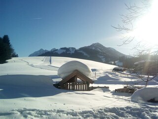 hier geht´s auf die Loipe - direkt vor dem Hof