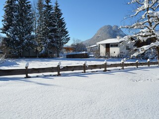 Obstgarten