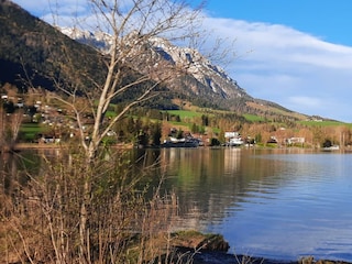 Walchsee