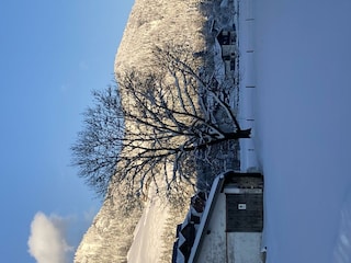Umgebung