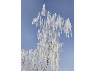 Wintertraum